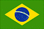 Brasilian Flagf