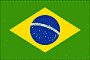 bra flag